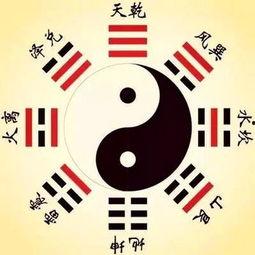 八卦来了 咩喋,咩喋带你探秘八卦世界