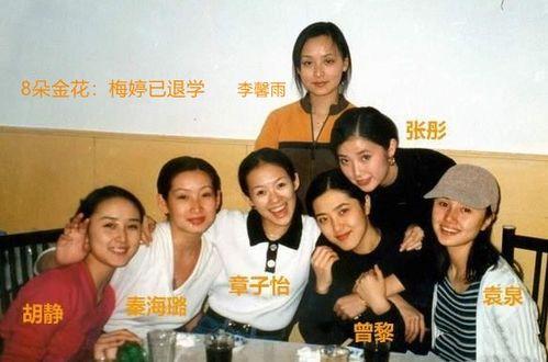 中戏96明星班名单,星光熠熠的演艺界精英集结